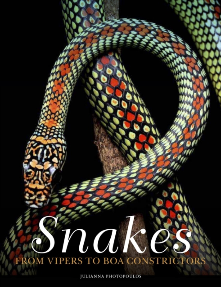 Kniha Snakes