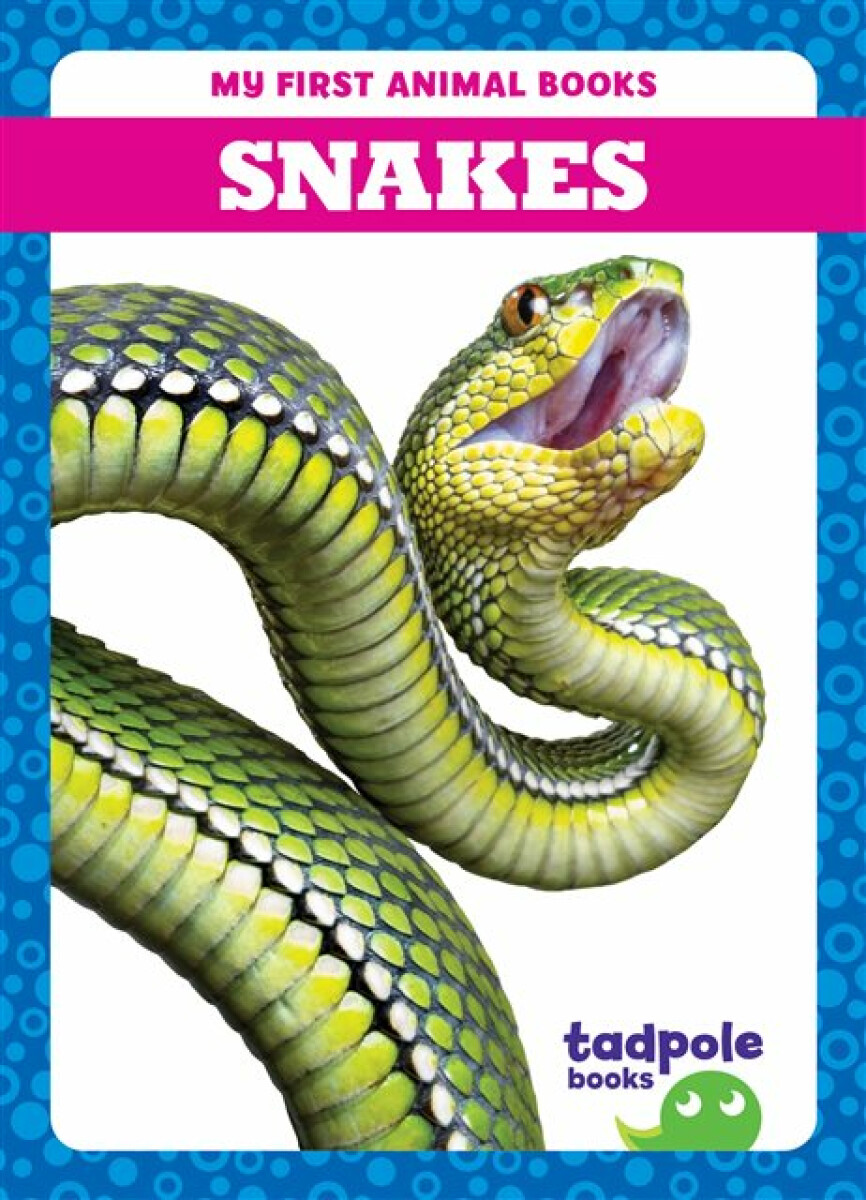 Kniha Snakes