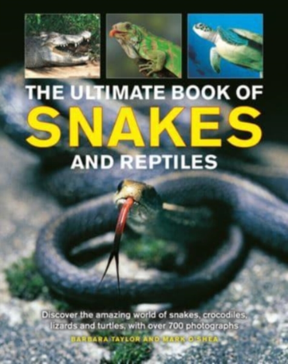 Kniha Snakes and Reptiles, Ultimate Book of