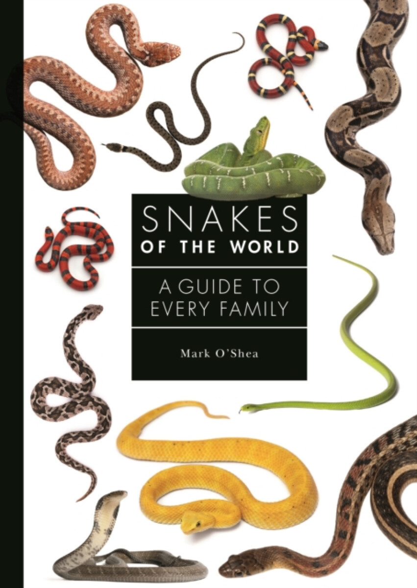 Kniha Snakes of the World
