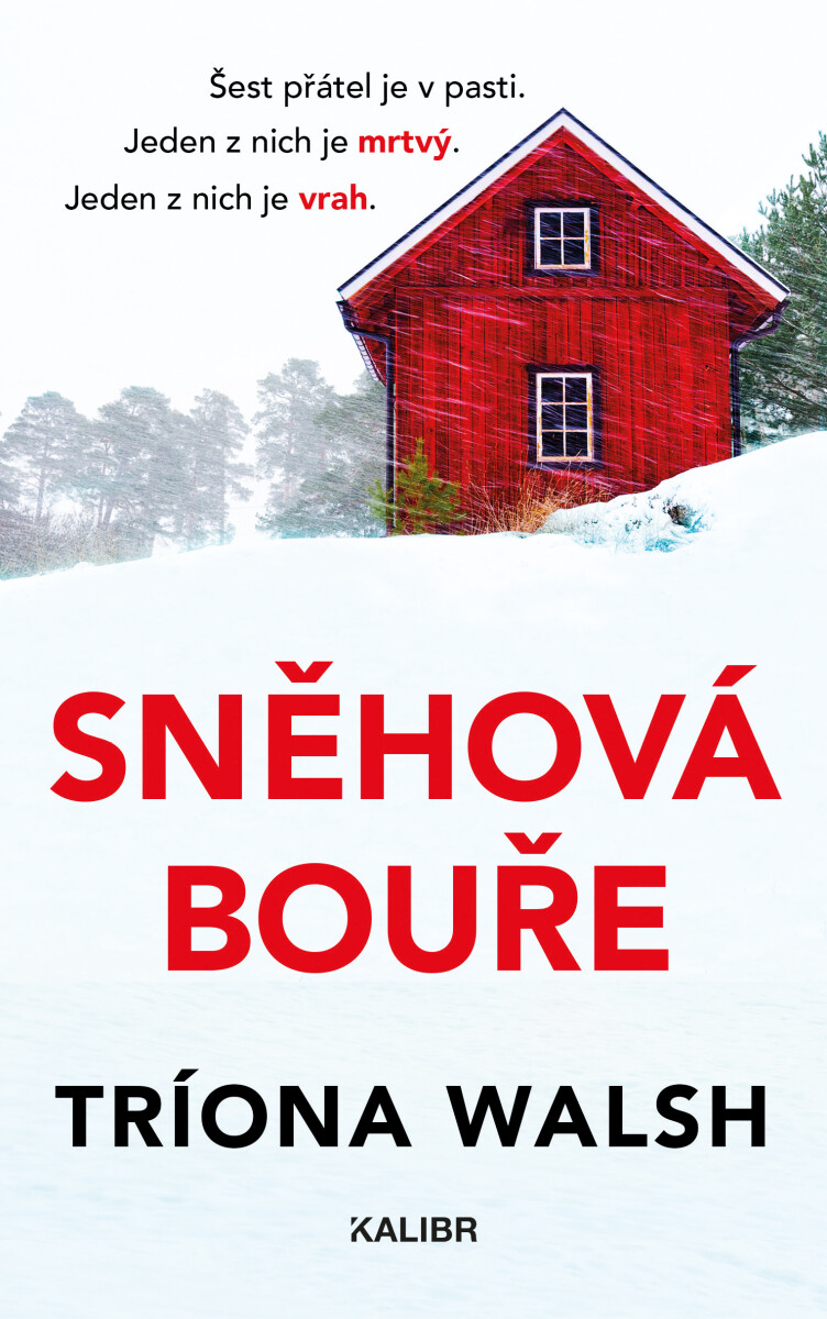 Sněhová bouře - Triona Walsh
