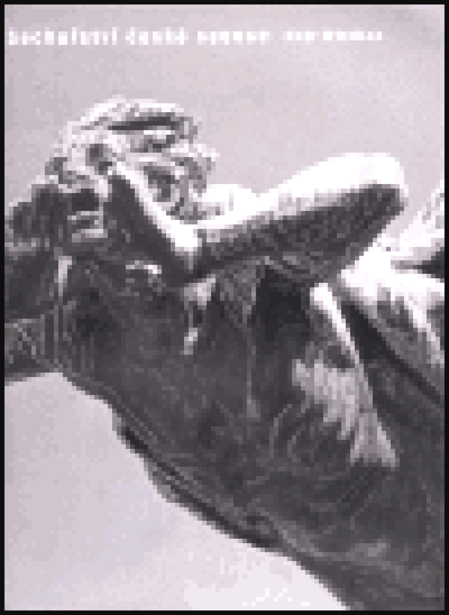 Kniha Sochařství české secese