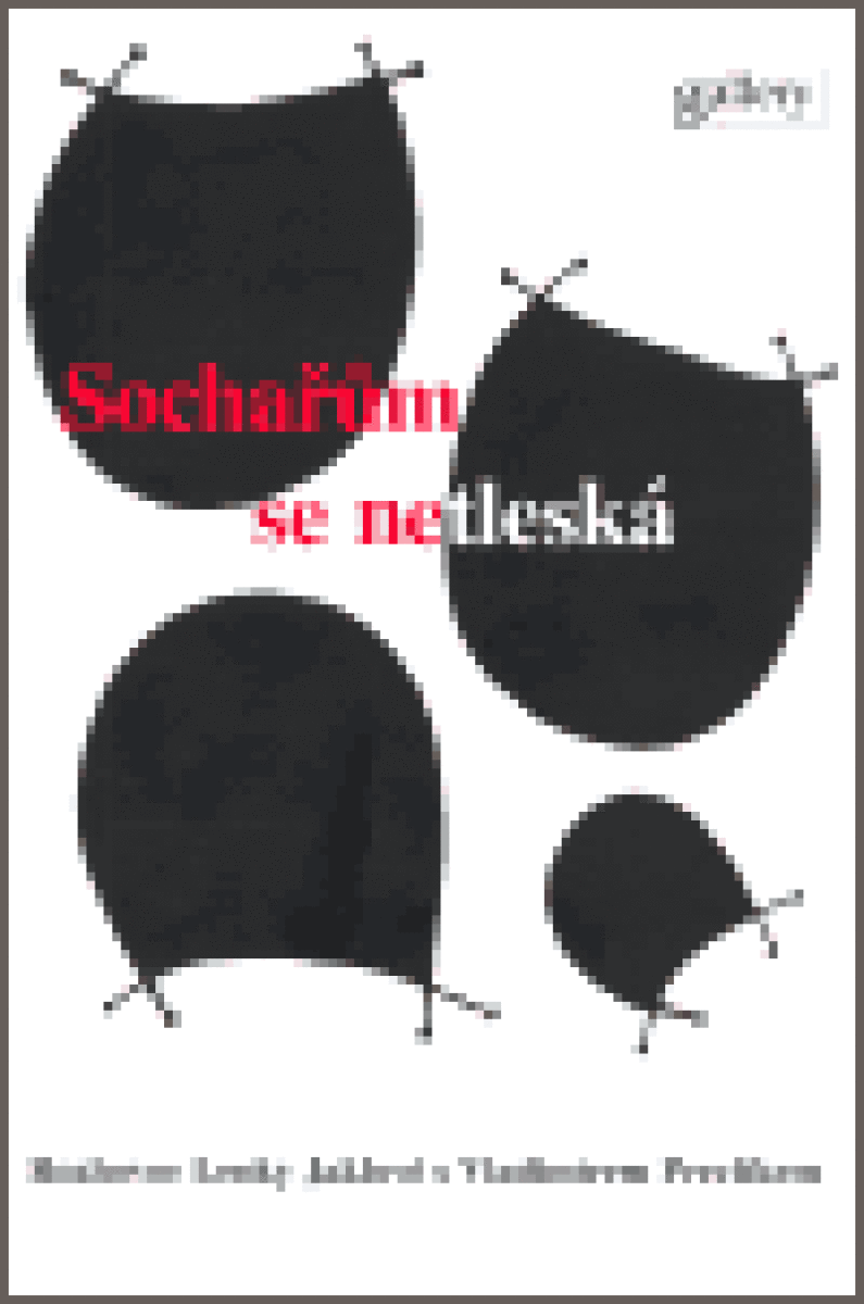 Kniha Sochařům se netleská