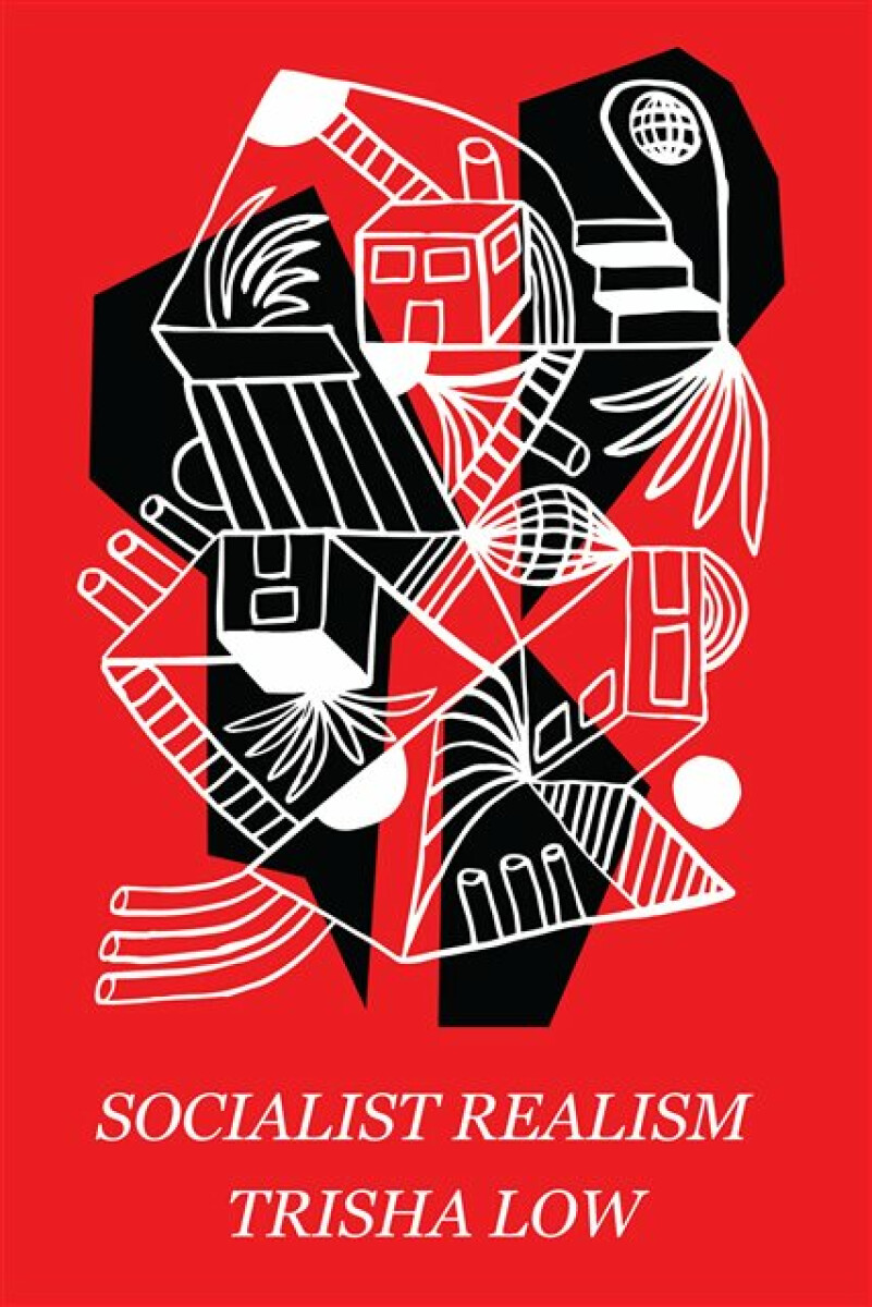 Kniha Socialist Realism