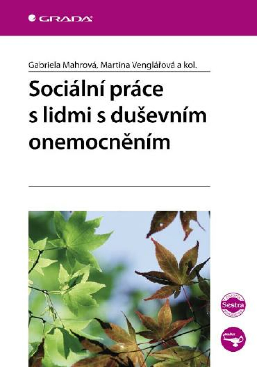 Sociální práce s lidmi s duševním onemocněním - Martina Venglářová, Gabriela Mahrová