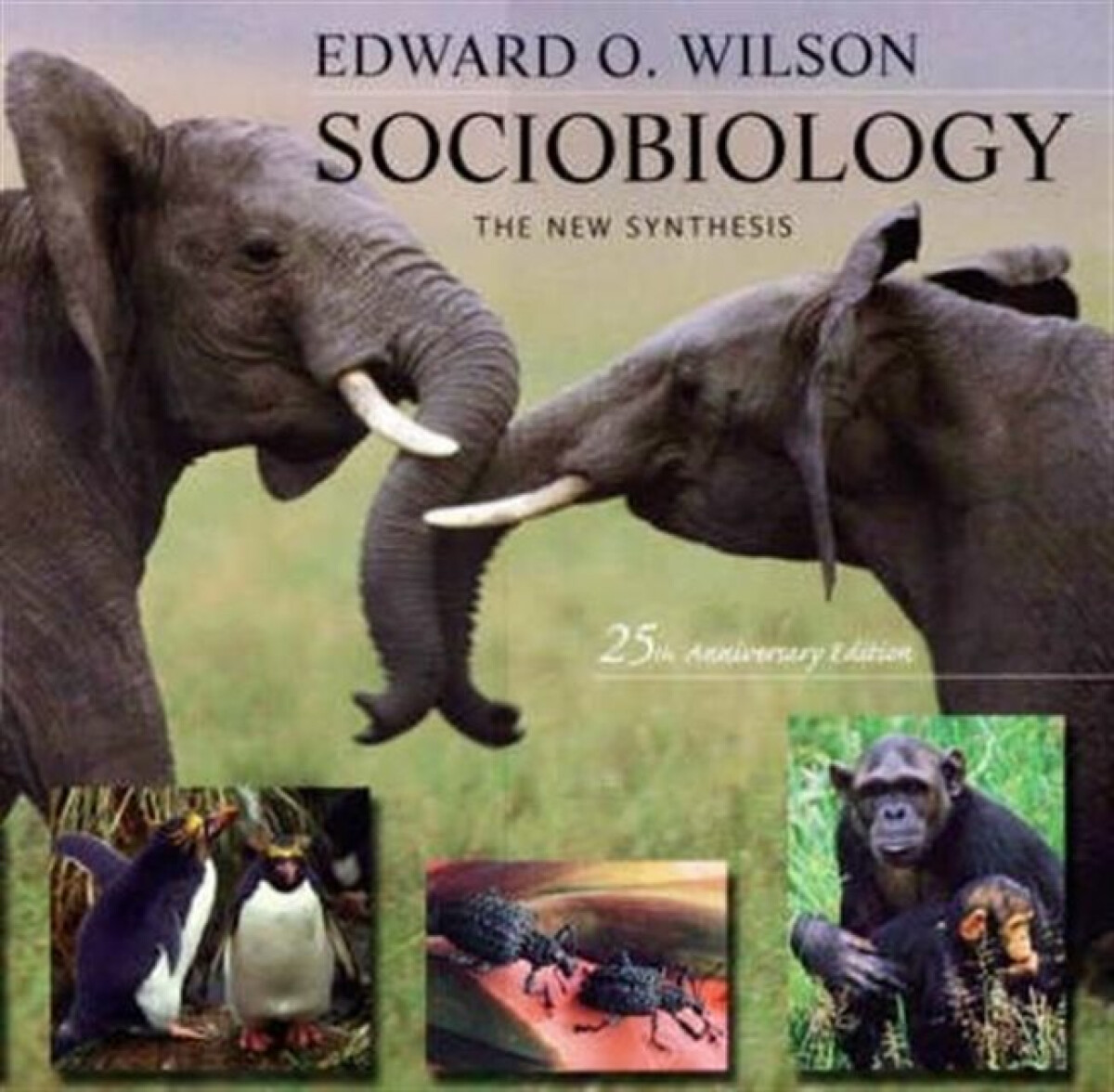 Kniha Sociobiology