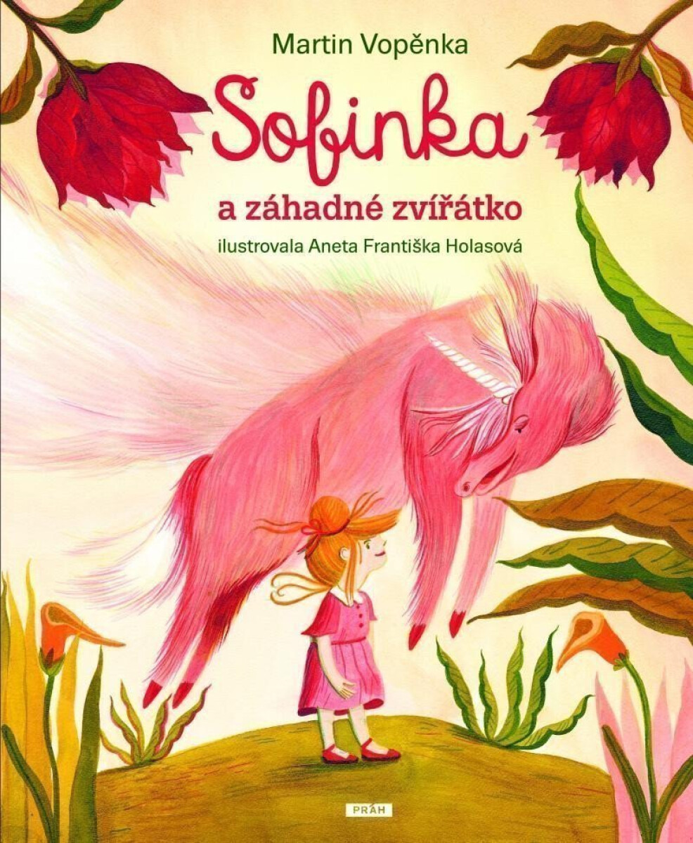Kniha Sofinka a záhadné zvířátko