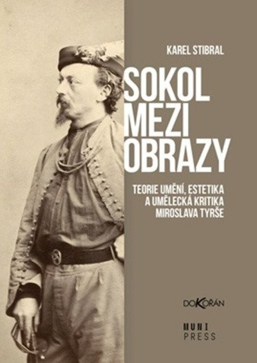 Kniha Sokol mezi obrazy
