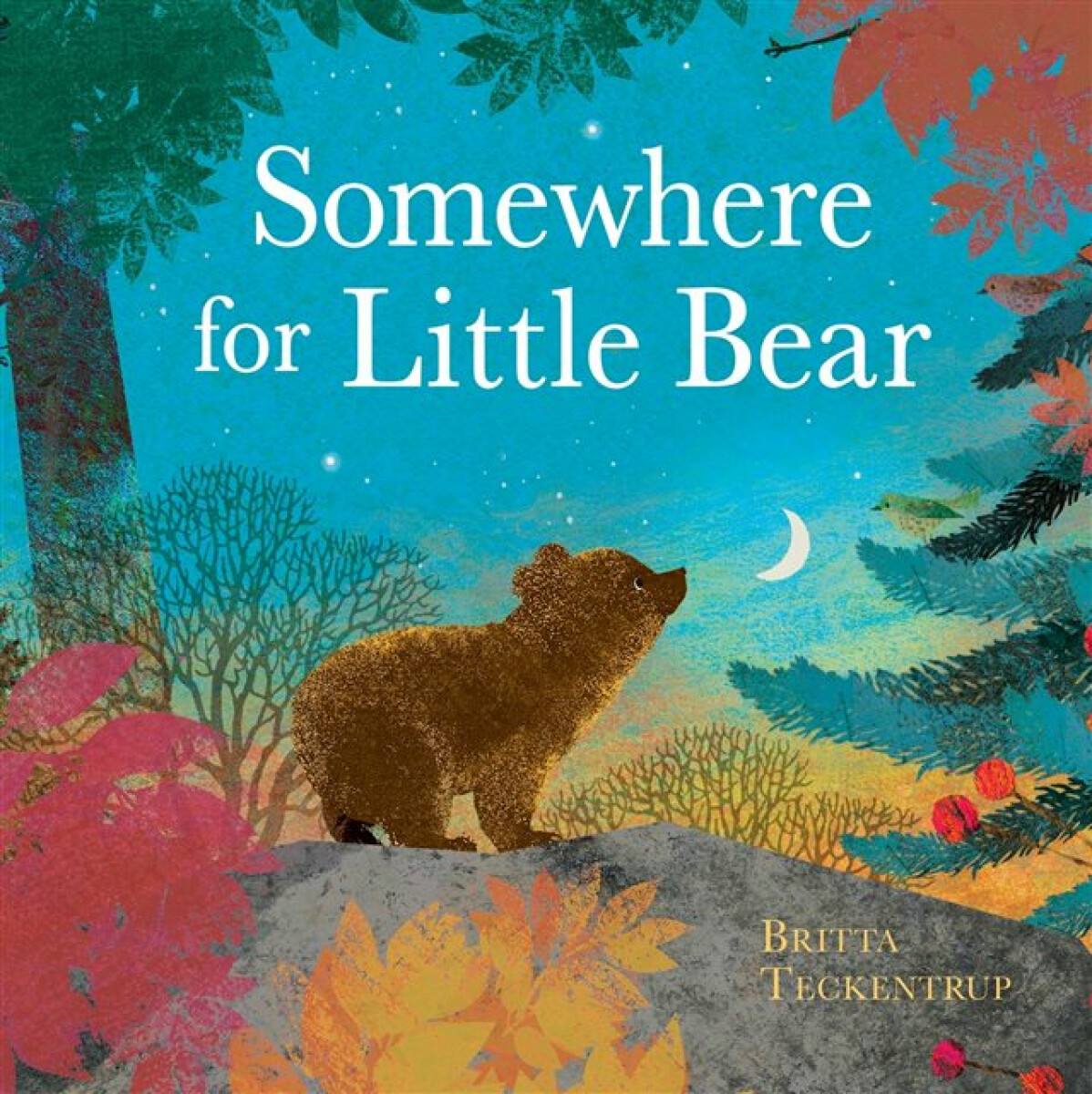 Kniha Somewhere for Little Bear