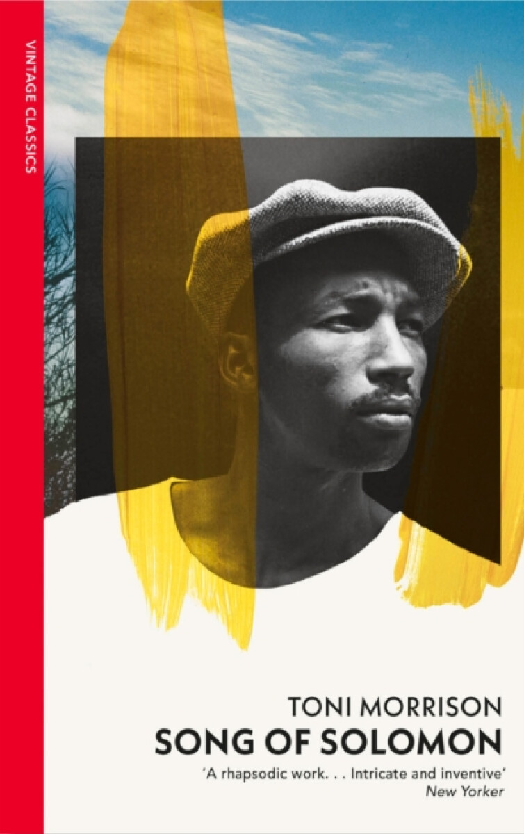 Song of Solomon koupíte na Knihydobrovsky.cz