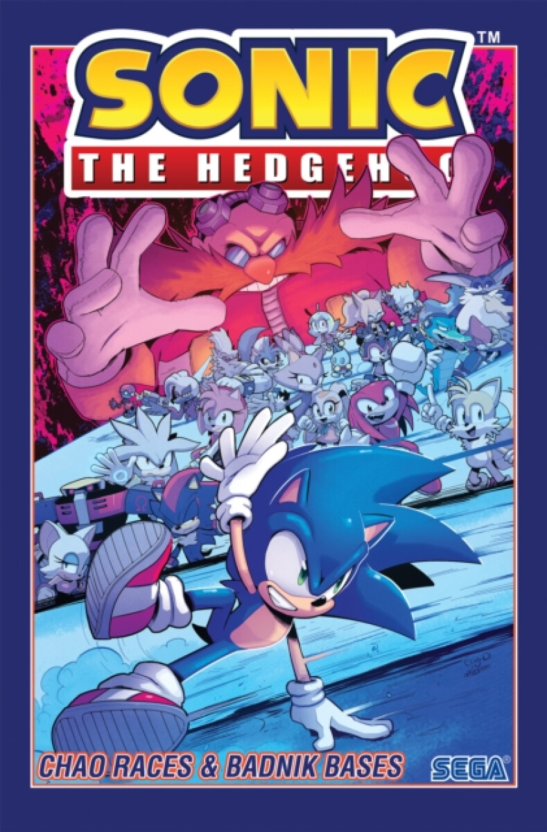 Kniha Sonic The Hedgehog, Vol. 9: Chao Races a Badnik Bases
