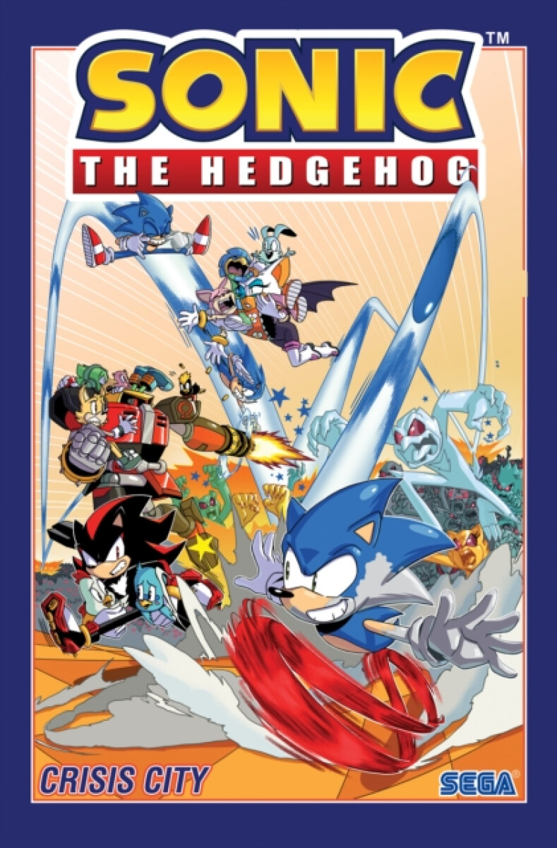 Kniha Sonic The Hedgehog, Volume 5: Crisis City
