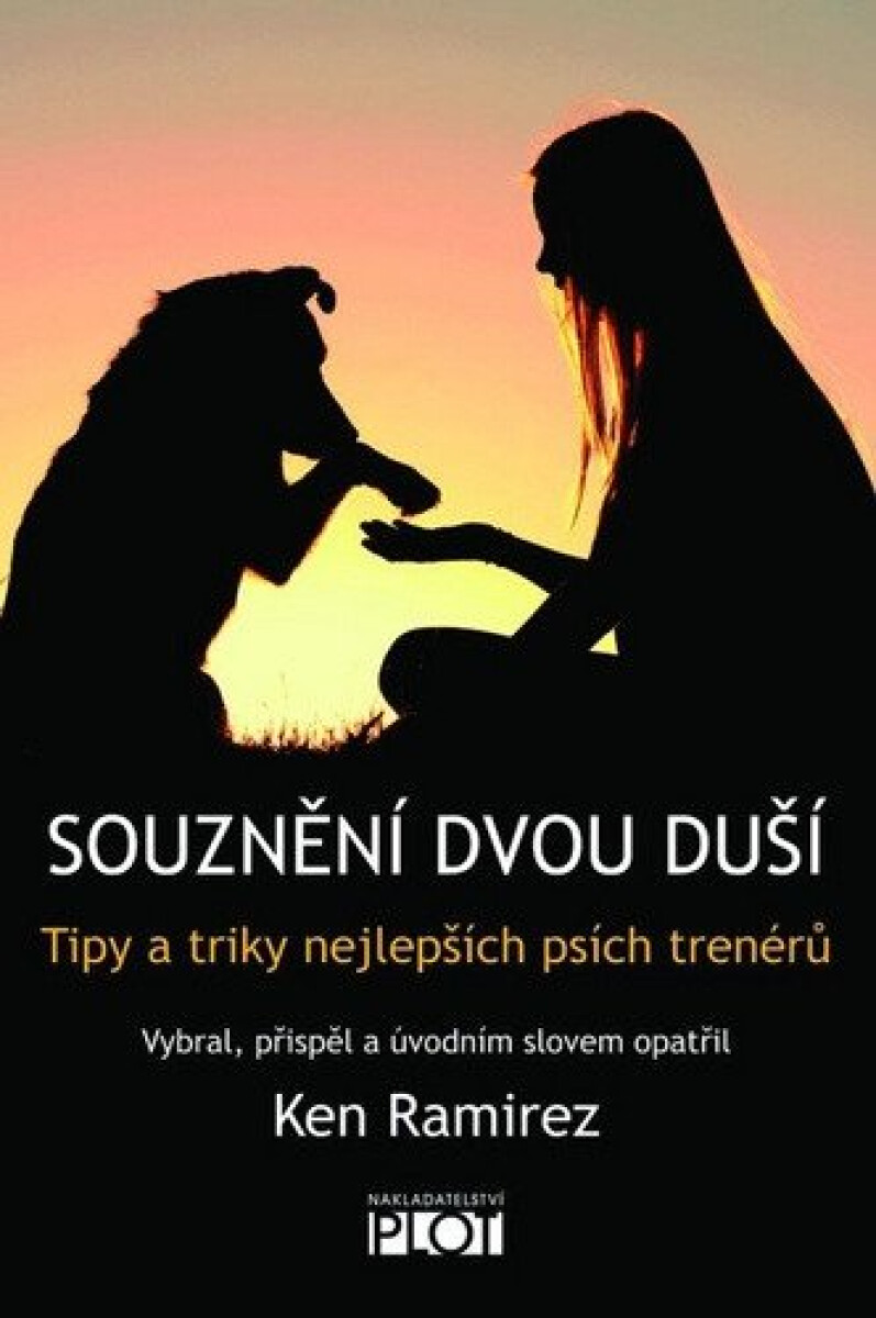 Kniha Souznění dvou duší