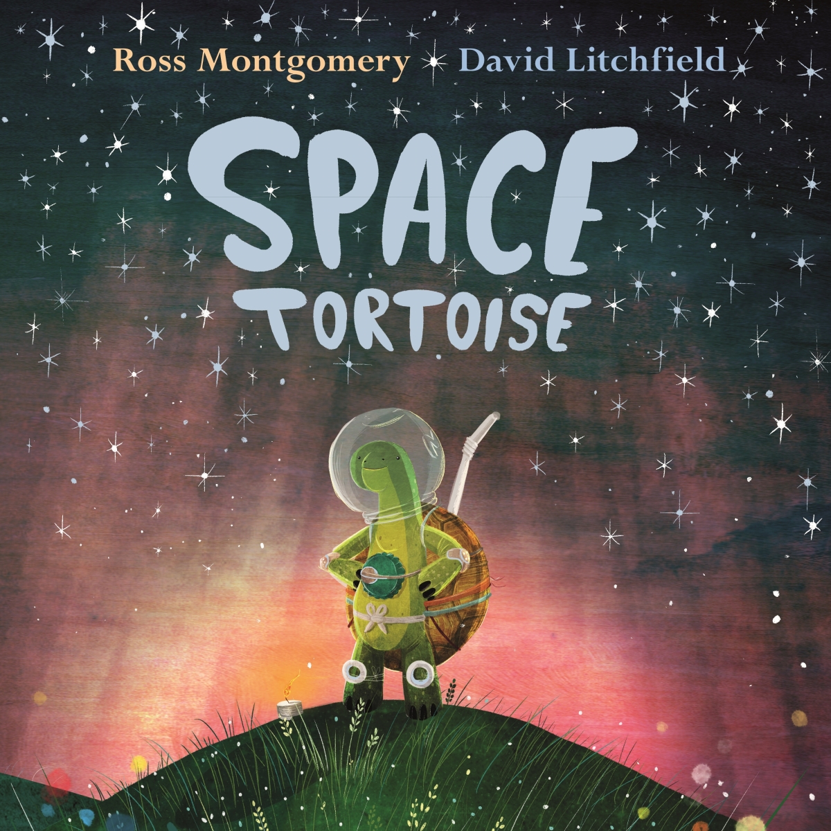 Kniha Space Tortoise