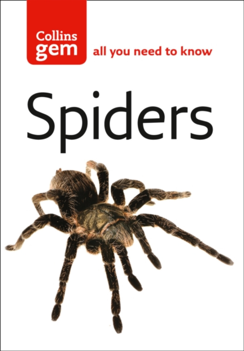 Kniha Gem: Spiders