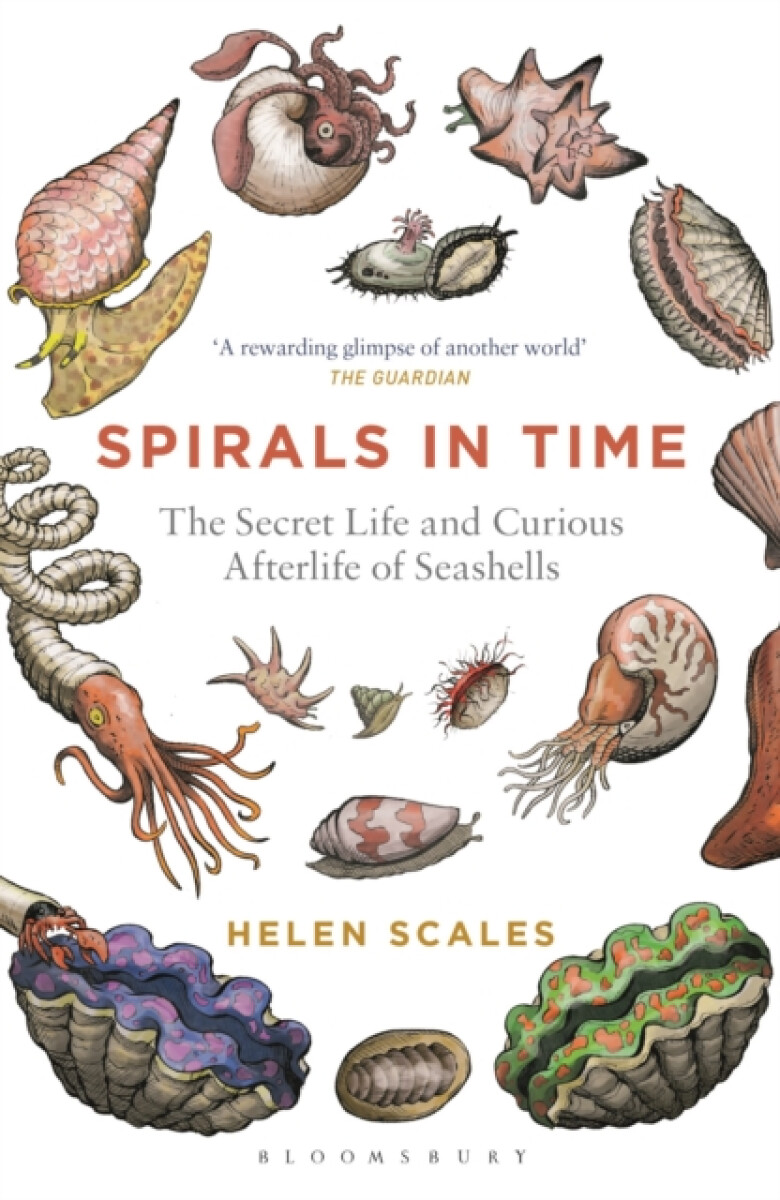 Kniha Spirals in Time