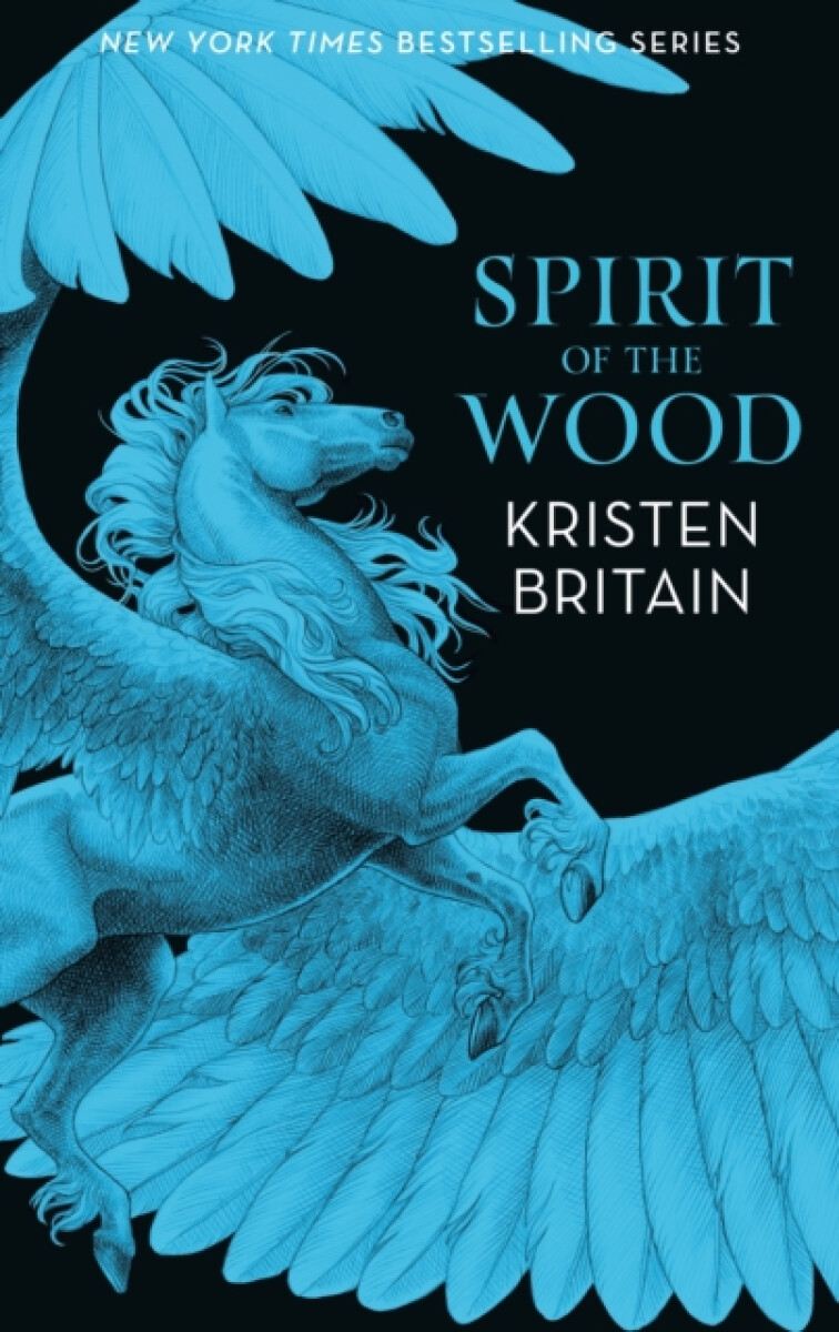 Kniha Spirit of the Wood