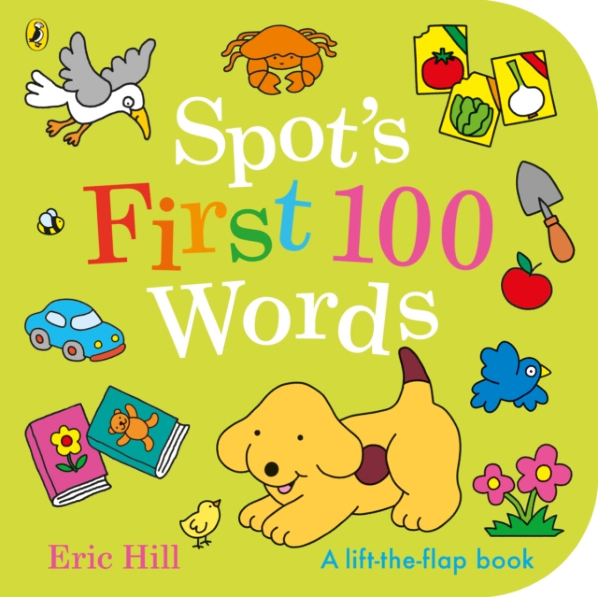 Kniha Spot's First 100 Words