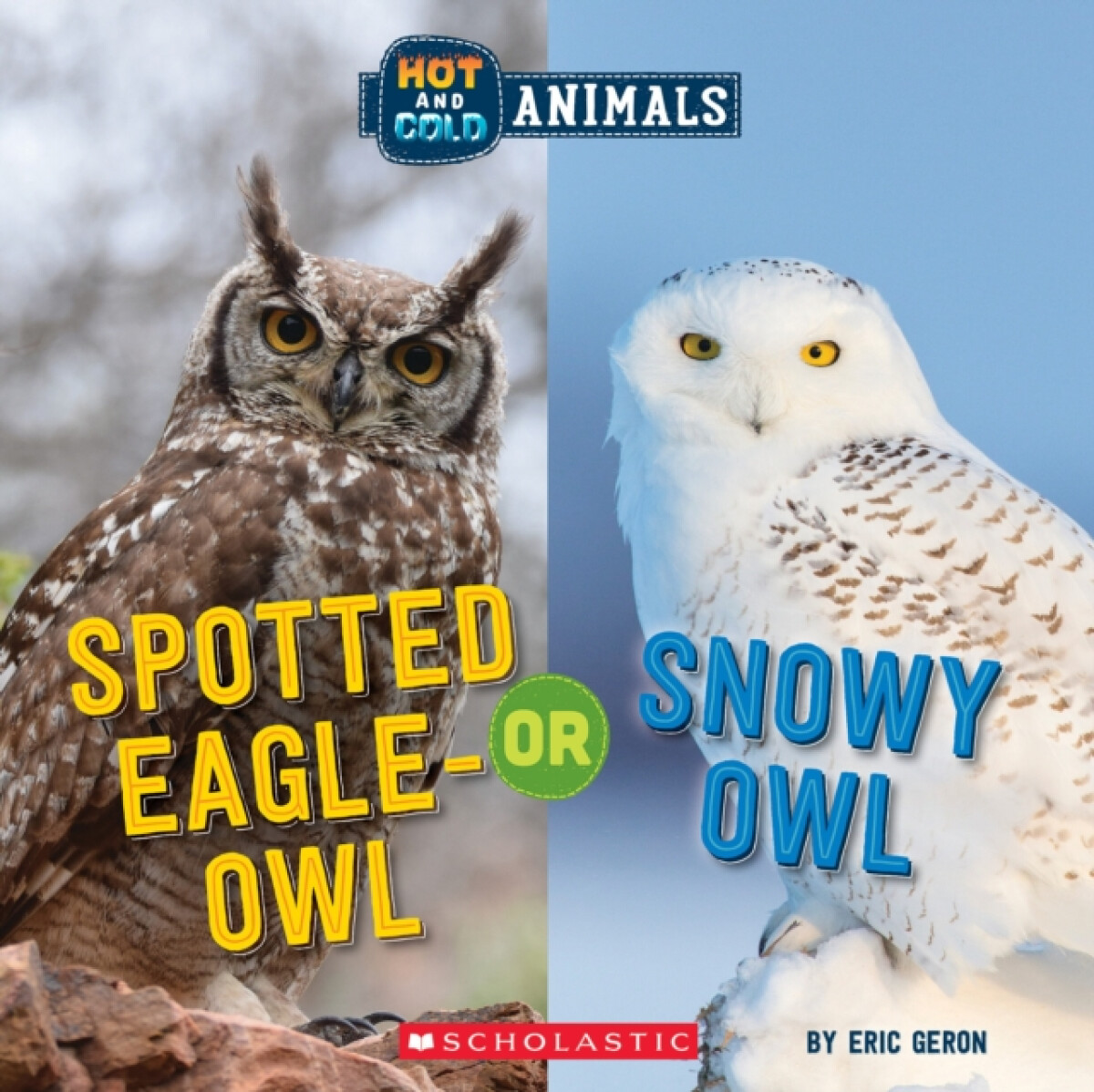 Kniha Spotted Eagle-Owl or Snowy Owl (Wild World: Hot and Cold Animals)