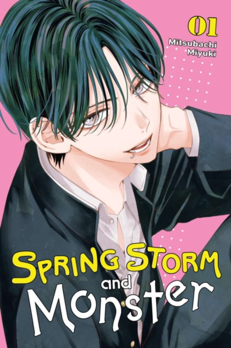 Kniha Spring Storm and Monster, Vol. 1