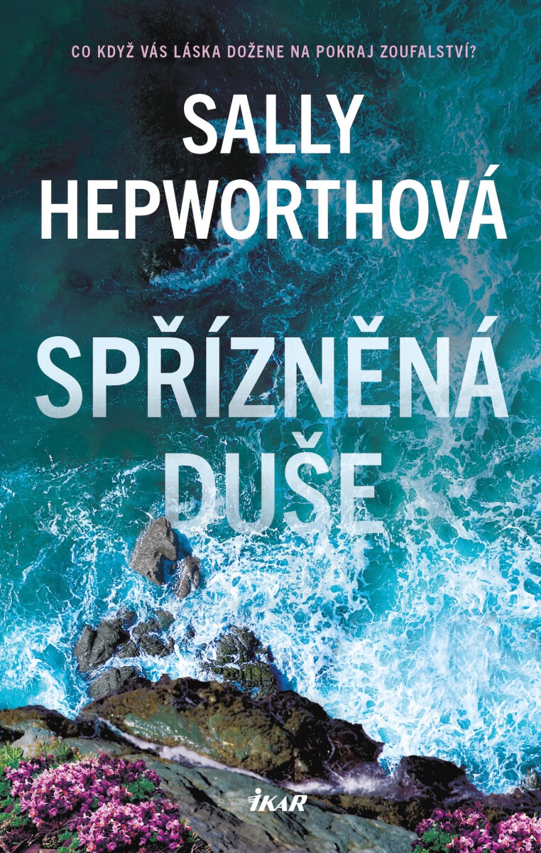 Levně Spřízněná duše - Sally Hepworthová