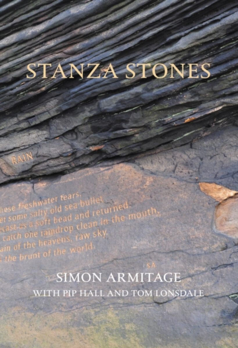 Kniha Stanza Stones