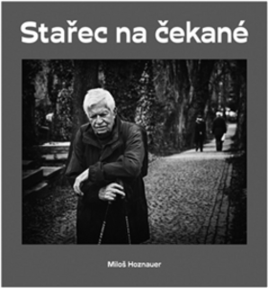 Kniha Stařec na čekané