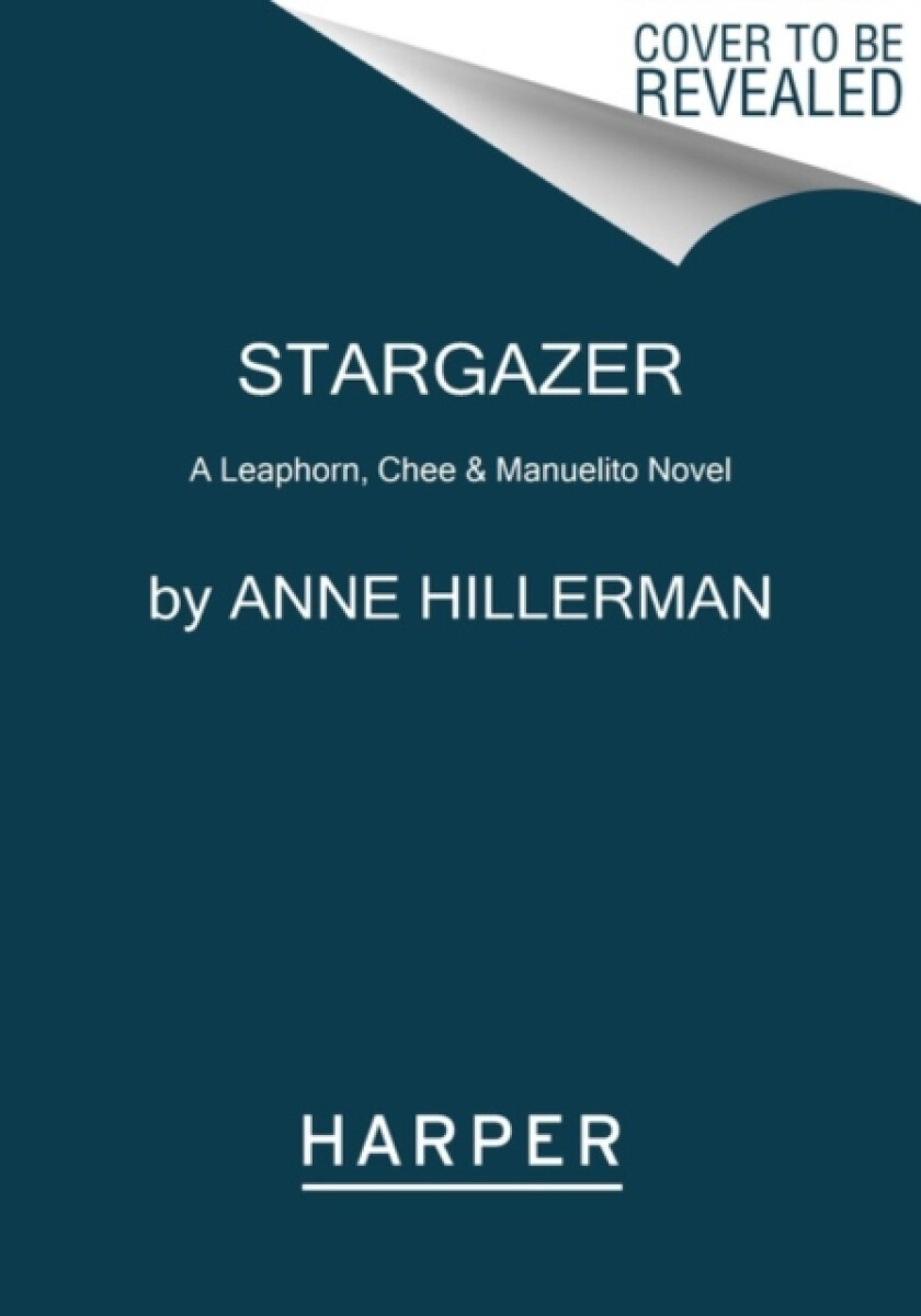 Kniha Stargazer