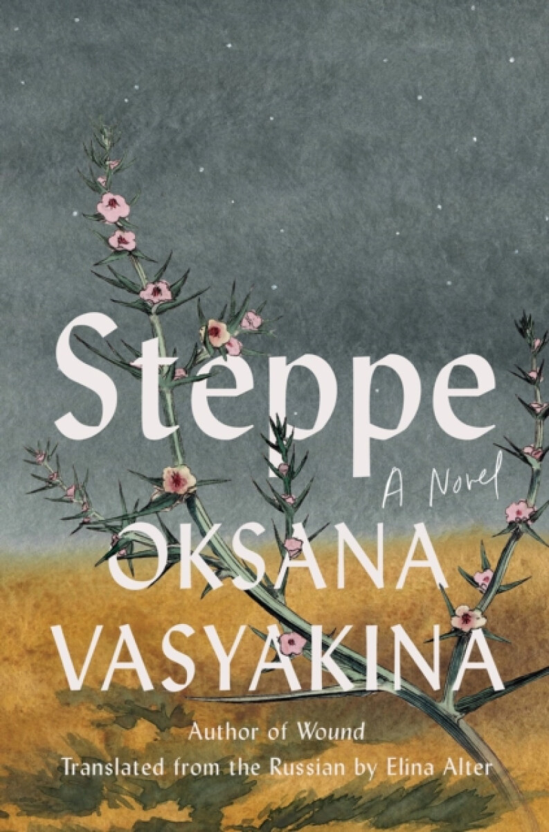 Kniha Steppe
