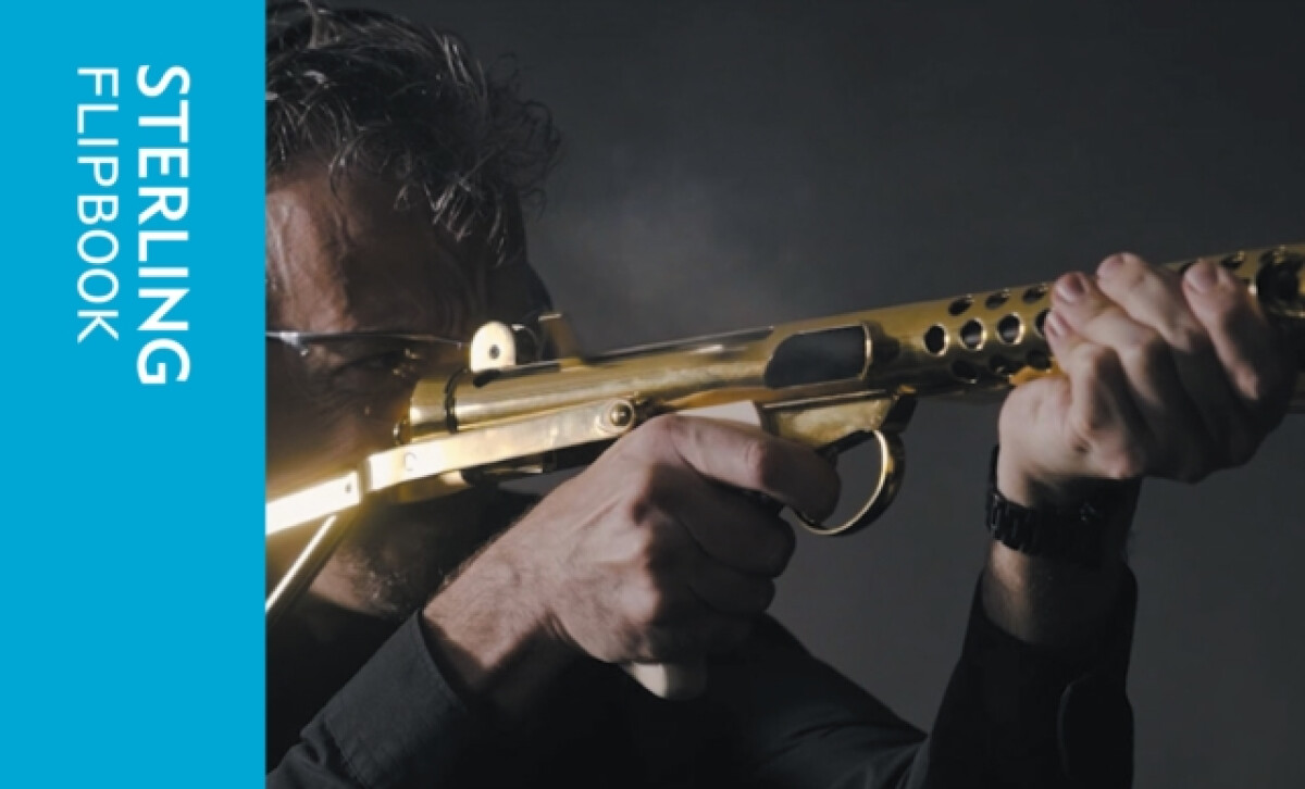 Kniha Sterling Flipbook