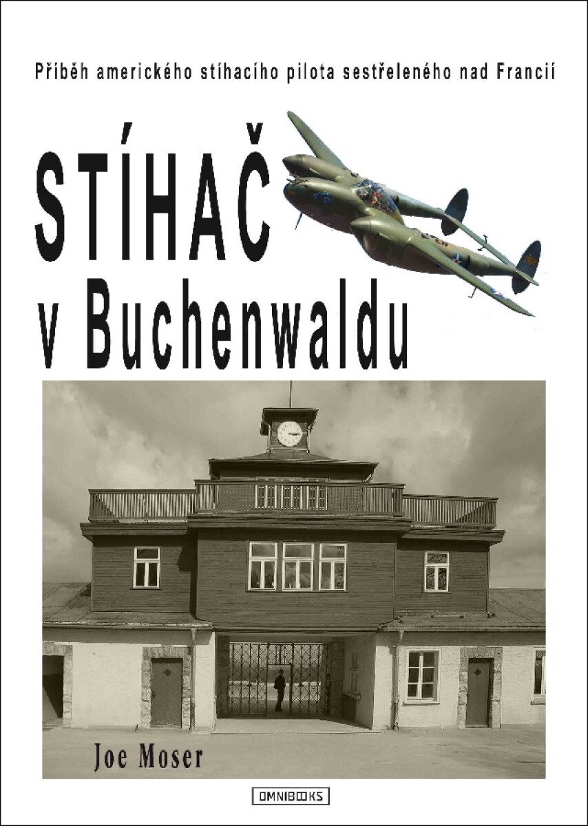 Stíhač v Buchenwaldu - Joseph F. Moser