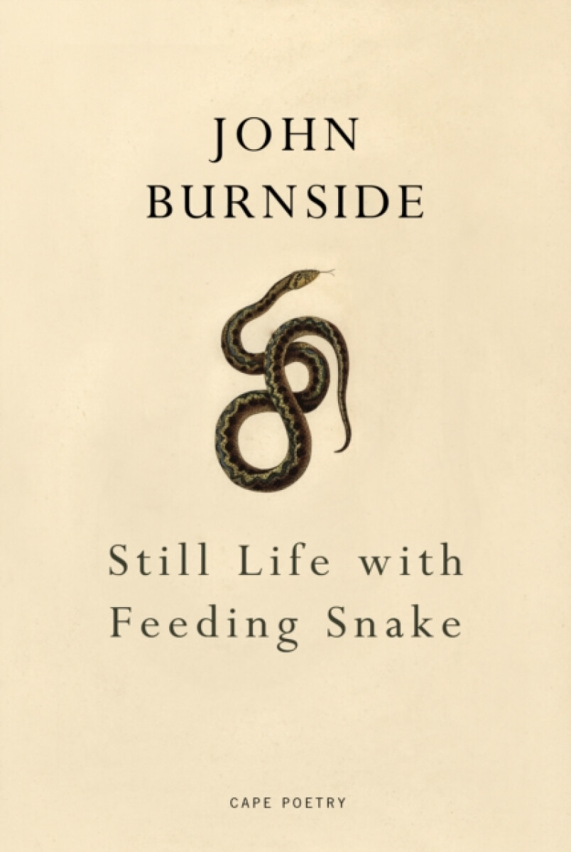 Kniha Still Life with Feeding Snake