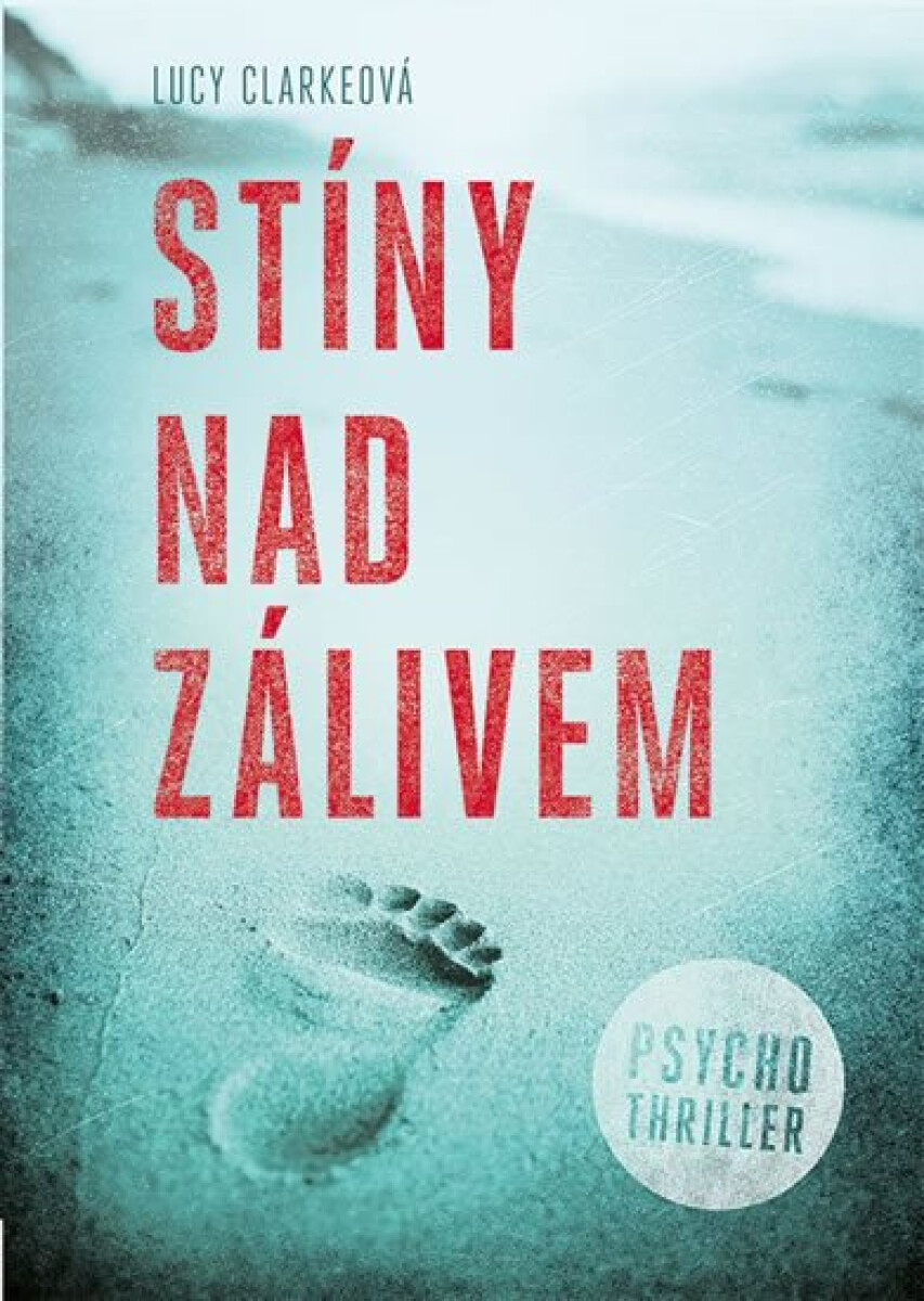 Kniha Stíny nad zálivem