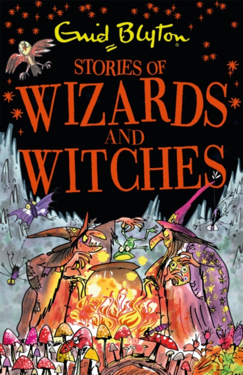 Kniha Stories of Wizards and Witches