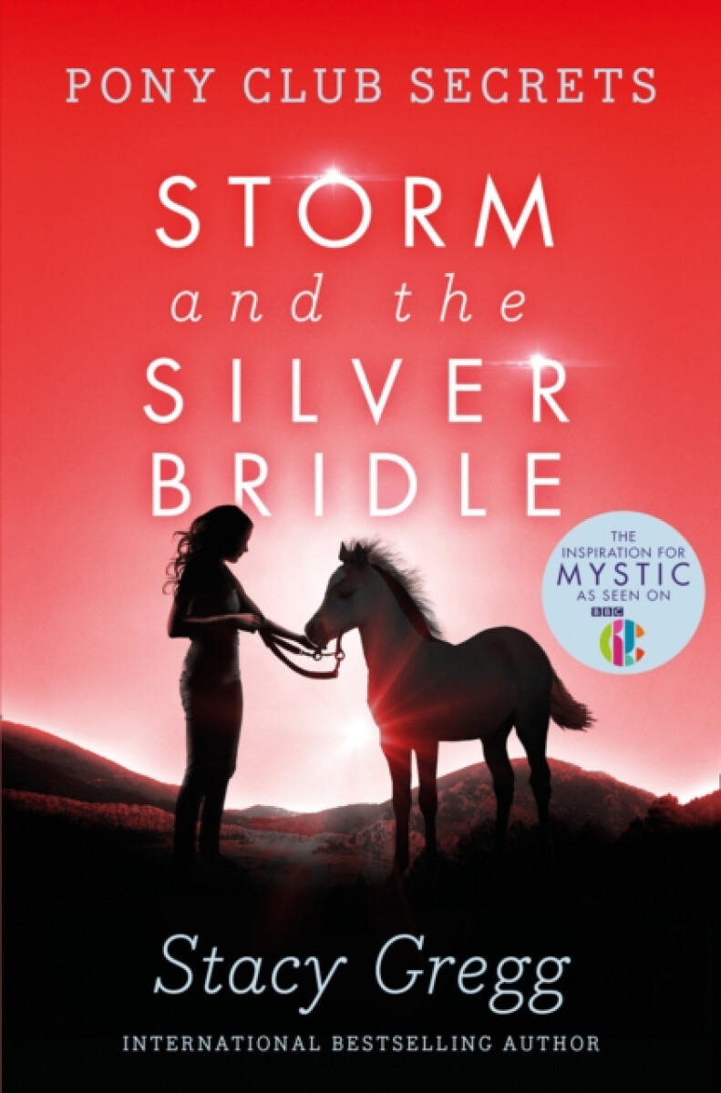 Kniha Storm and the Silver Bridle