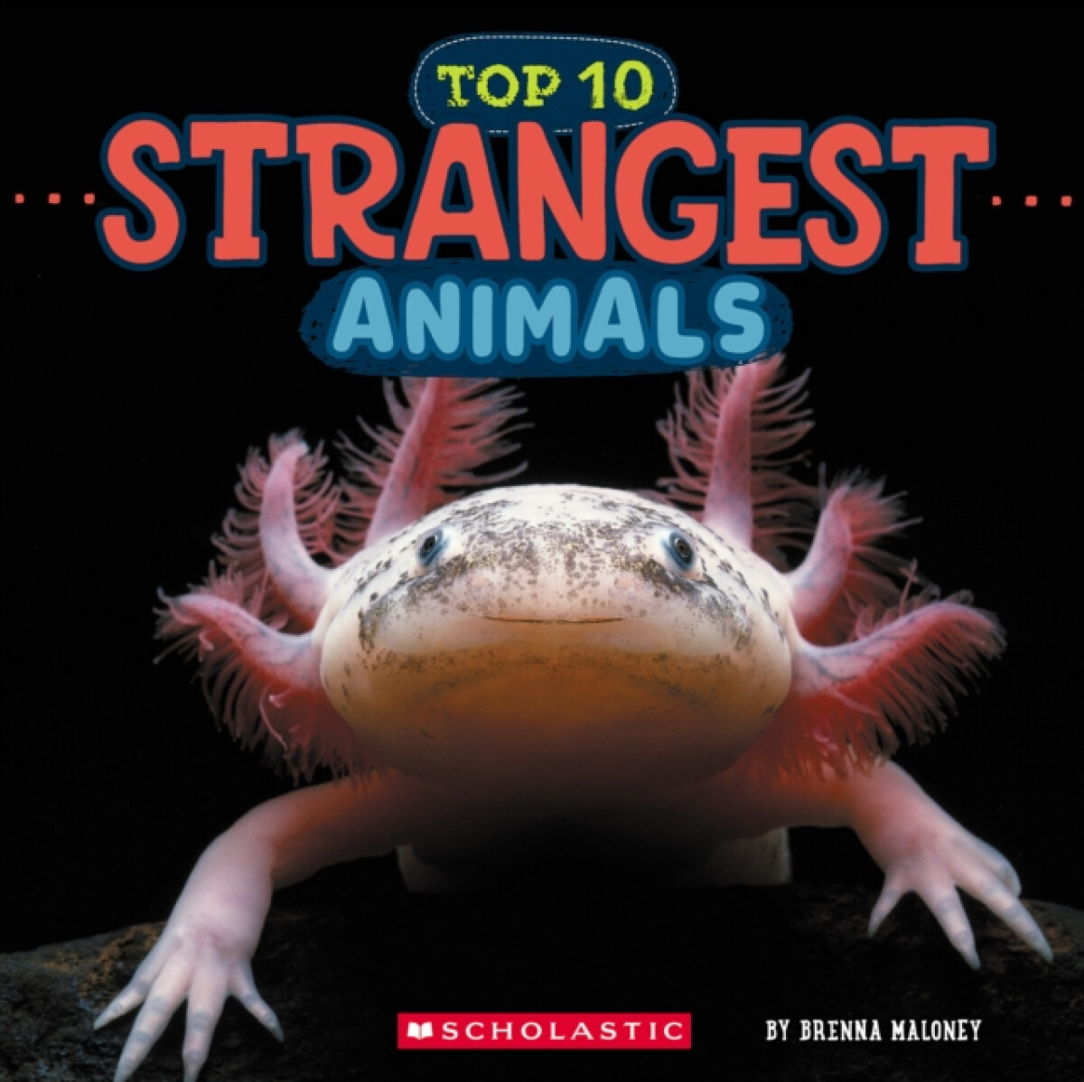 Levně Strangest Animals (Wild World: Top 10)