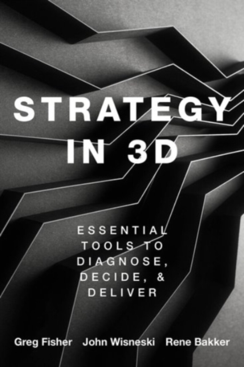 Kniha Strategy in 3D