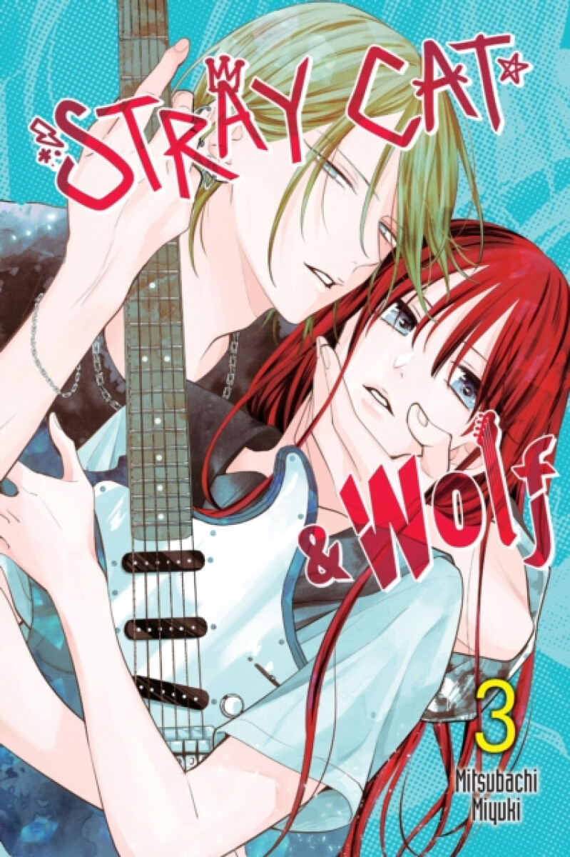 Kniha Stray Cat a Wolf, Vol. 3