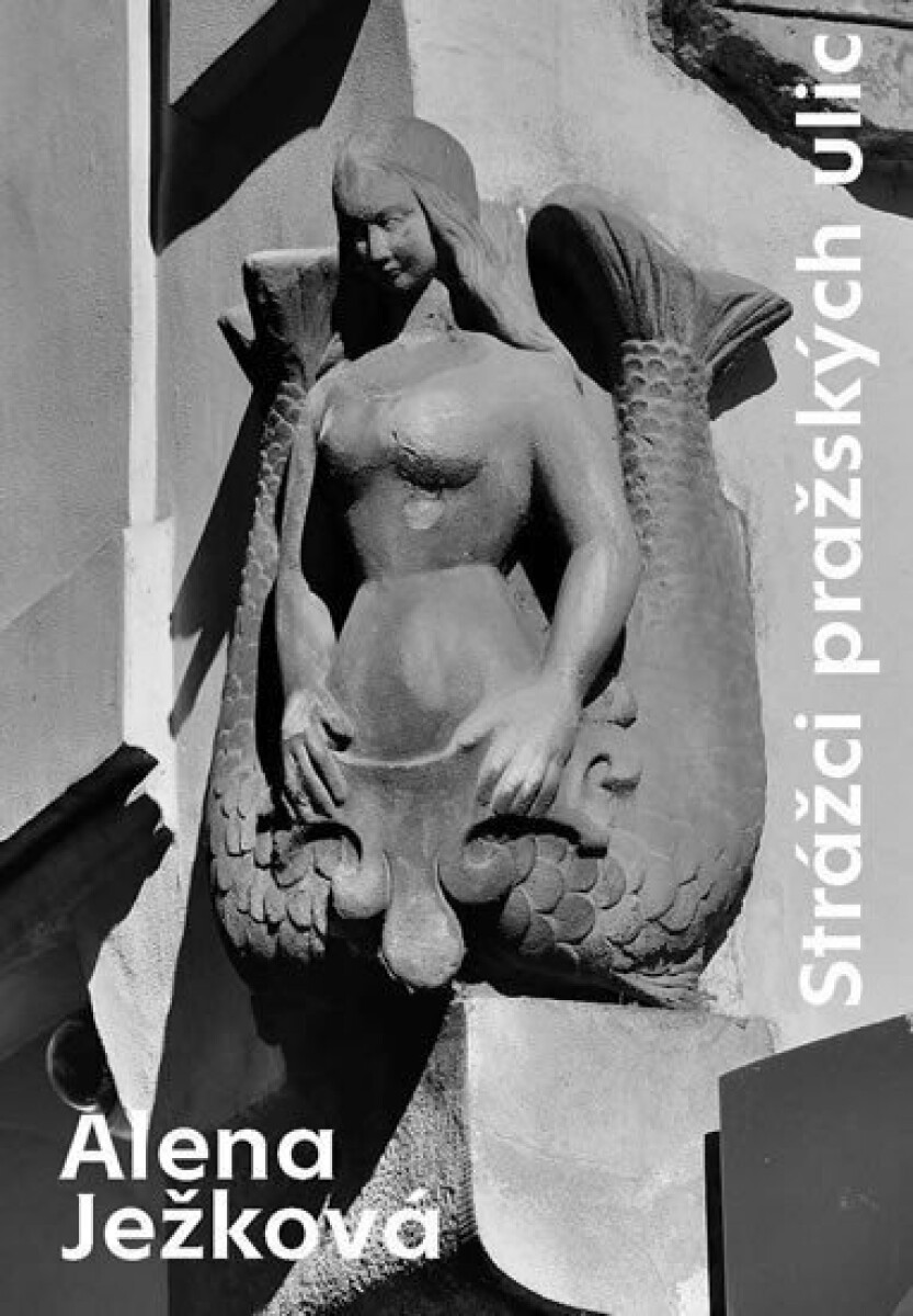 Kniha Strážci pražských ulic