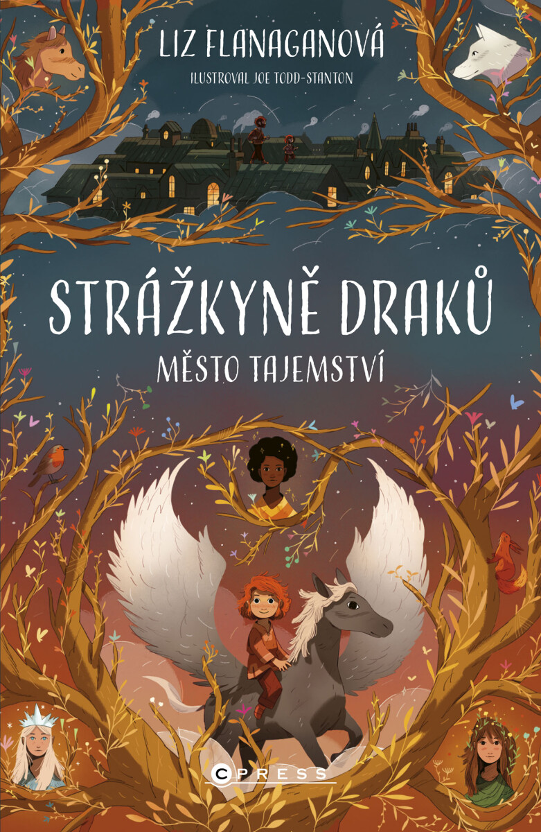 Strážkyně draků: Město tajemství - Liz Flanaganová