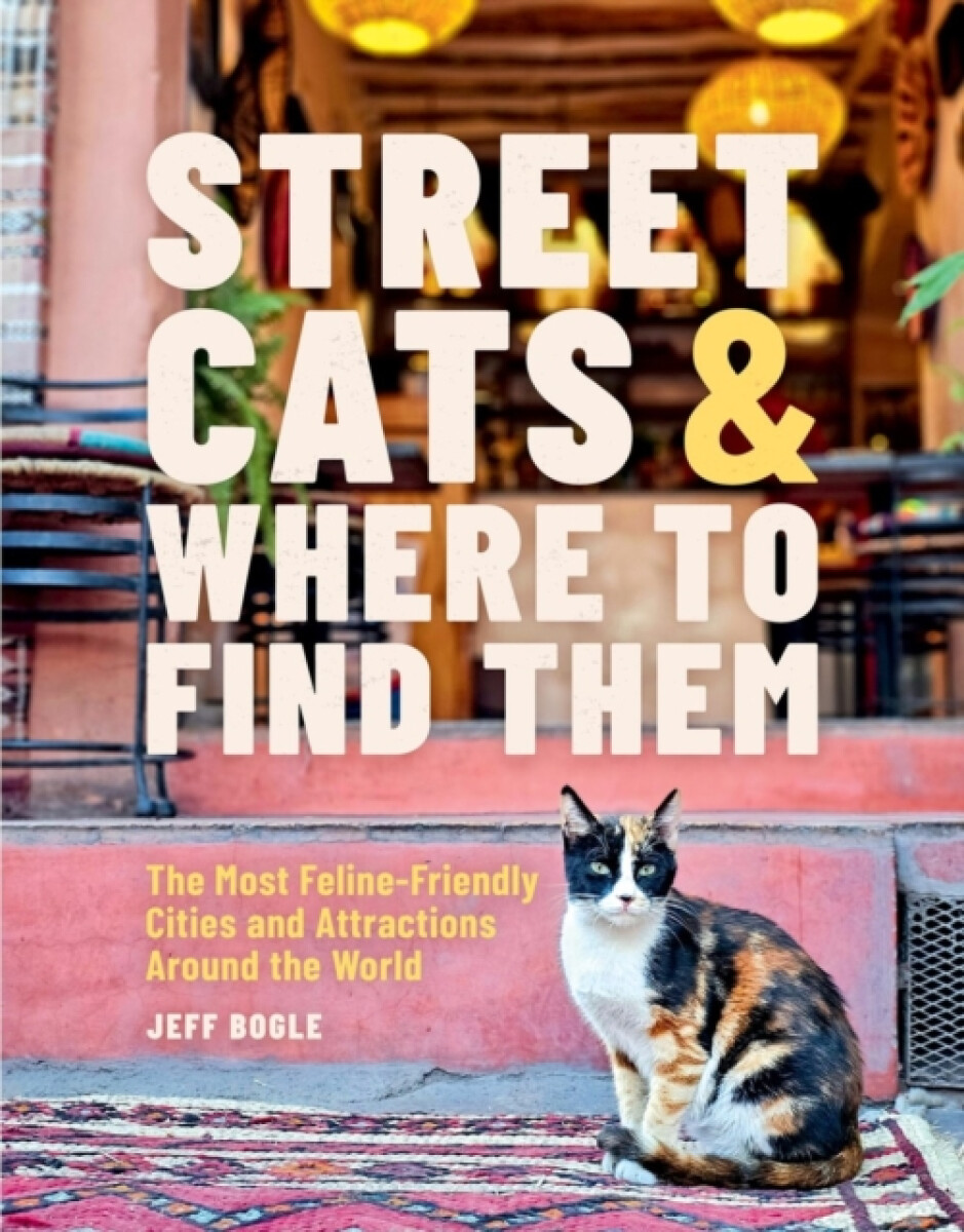 Kniha Street Cats & Where to Find Them
