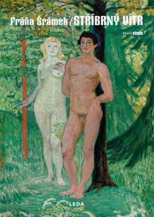 Kniha Stříbrný vítr