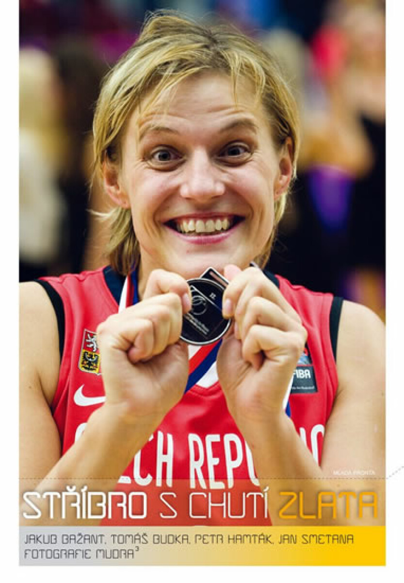 Kniha Stříbro s chutí zlata