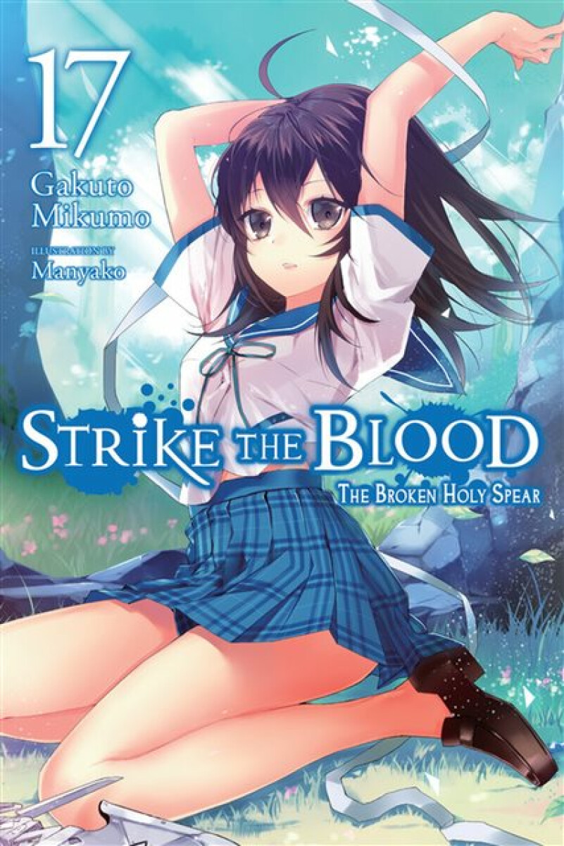 Kniha Strike the Blood, Vol. 17 (light novel)