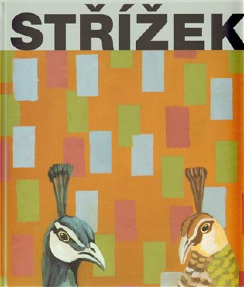Kniha Střížek