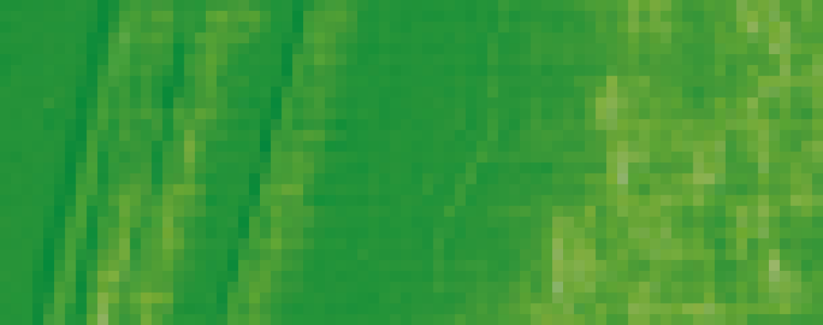 Olejová barva Pébéo XL 200ml – 16 cadmium green hue