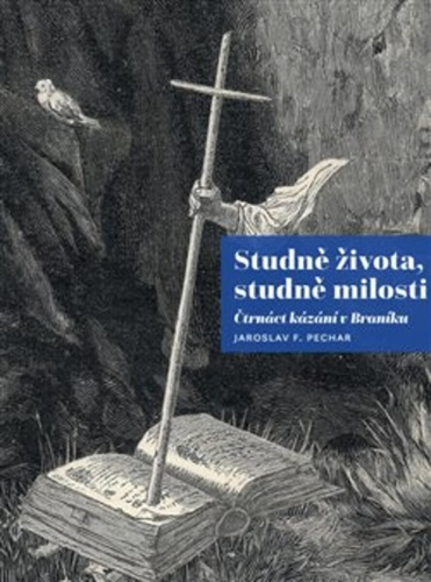 Kniha Studně života, studně milosti - Čtrnáct kázání v Braníku
