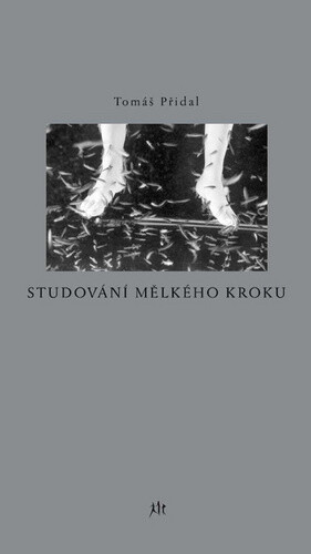 Kniha Studování mělkého kroku