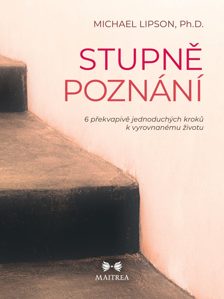 Stupně poznání - Michael Lipson