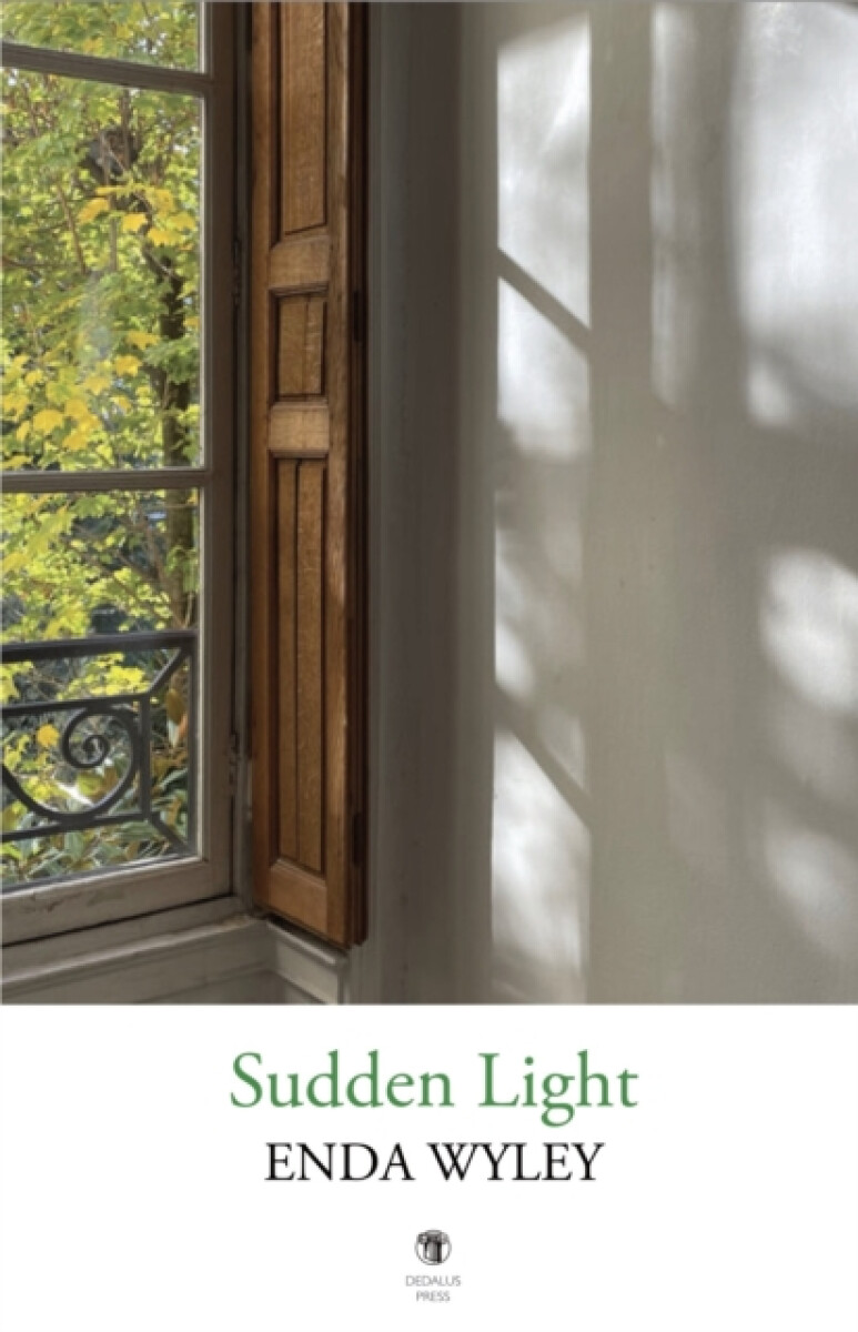 Kniha Sudden Light